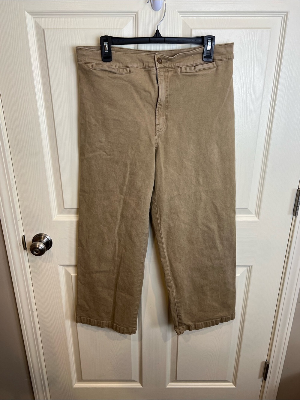 Madewell Emmett Wide Leg Crop Tan Pants 31